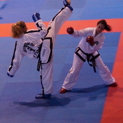 tkd adulti