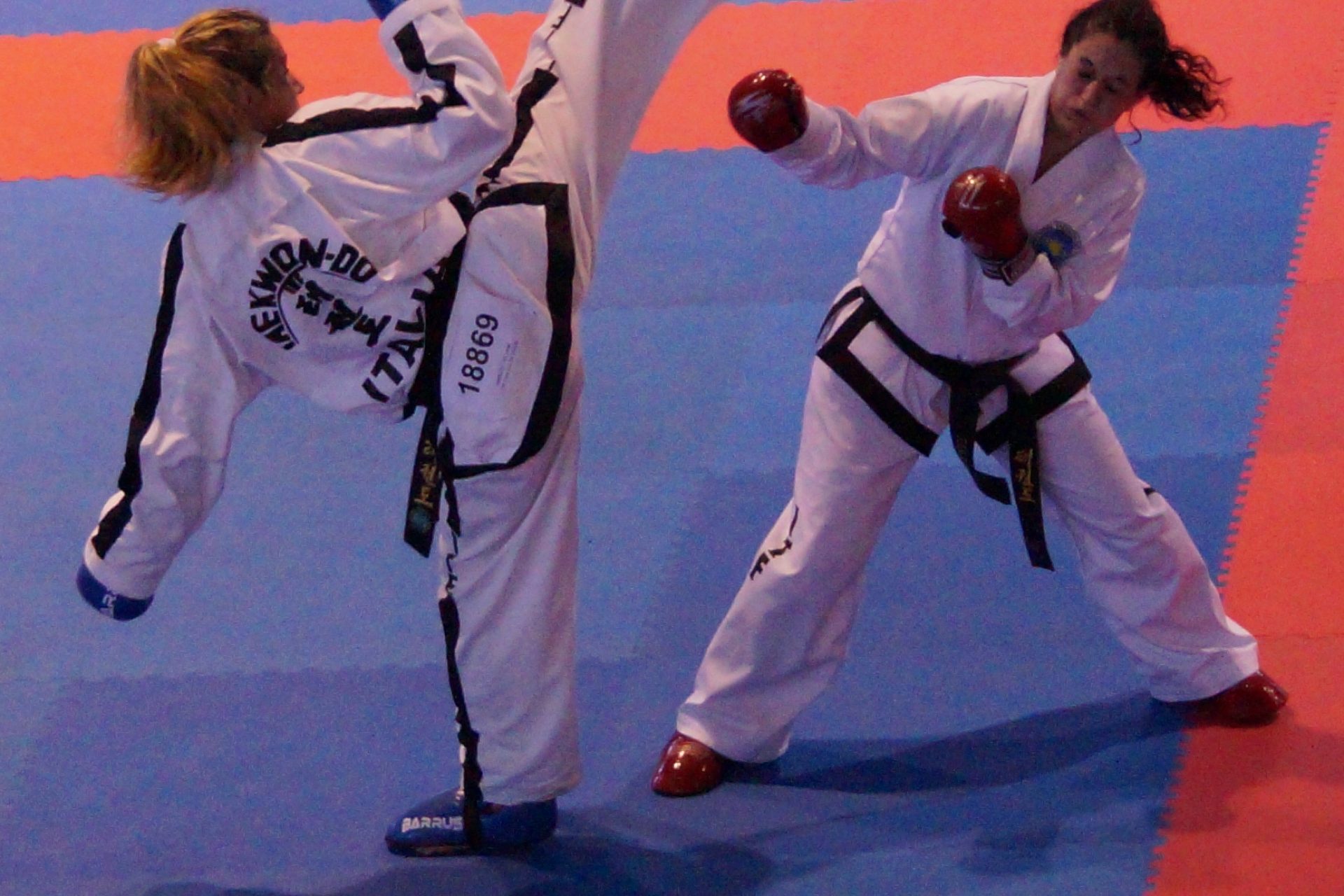 tkd adulti
